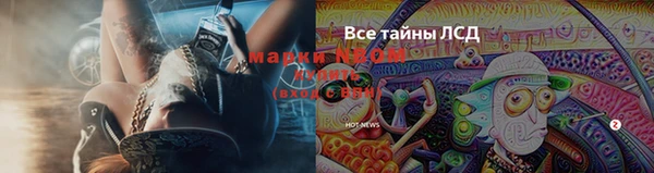 марки lsd Нефтекумск