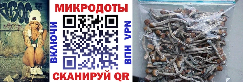 blacksprut   Кинешма  Псилоцибиновые грибы GOLDEN TEACHER 