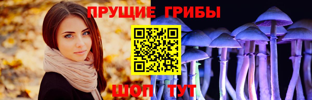 Галлюциногенные грибы прущие грибы Кинешма